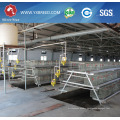 Broiler Chicken, Chicken Use and Farming Equipment Type Poultry Farming Equipment